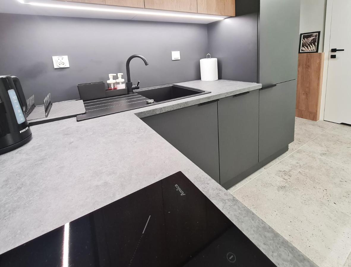 Irs Royal Apartments Apartamenty Irs Nowoczesne Apartamenty Wrzeszcz Γκντανσκ Εξωτερικό φωτογραφία